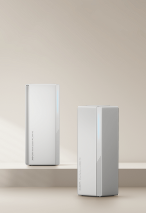 ROUTER AX300 NE (2-PACK) MESH SYSTEM DVB4462GL