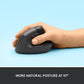 MOUSE VERTICAL ERGONOMICO LIF BLACK