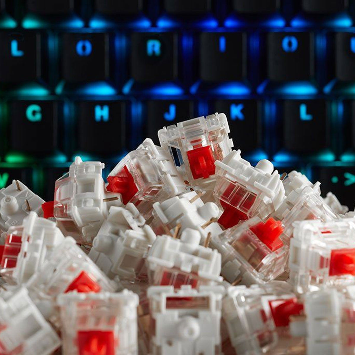 GATERON SWITCHES RED 120X